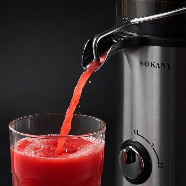 Соковыжималка SOKANY SK-JB-175 6001 фото